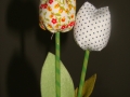 DSC06660